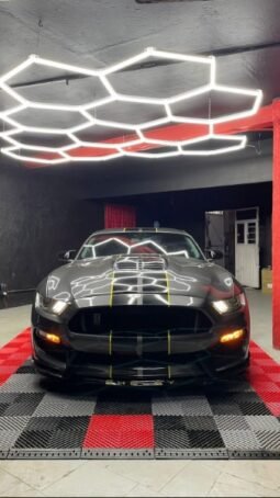 Mustang Shelby Cobra GT350 Ford 2016