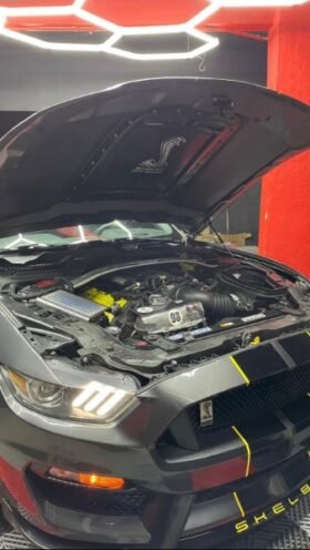 Mustang Shelby Cobra GT350 Ford 2016